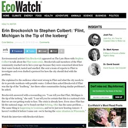 Erin Brockovich to Stephen Colbert: 'Flint, Michigan Is the Tip of the Iceberg'