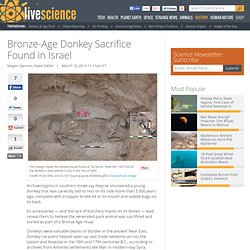 Bronze-Age Donkey Sacrifice Found in Israel