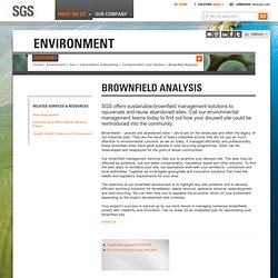 SGS India - Brownfield Analysis - Environment