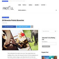 20 Brownie Points Brownies - PikRoll