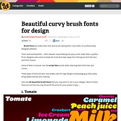 Beautiful Curvy Brush Fonts for Design