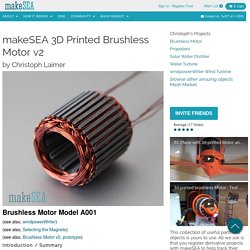 Brushless Motor - makeSEA