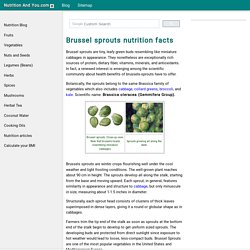 Brussel sprouts nutrition facts and health benefits