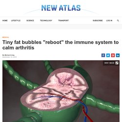 Tiny fat bubbles reboot immune system to calm arthritis