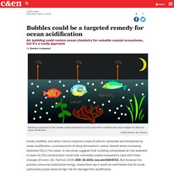 Bubbles could be a targeted remedy for ocean acidification