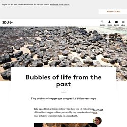 Bubbles of life from the past - University of Southern Denmark, SDU
