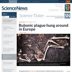 Bubonic plague hung around in Europe