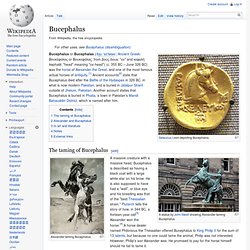 Bucephalus (Alexander the Great's Horse)