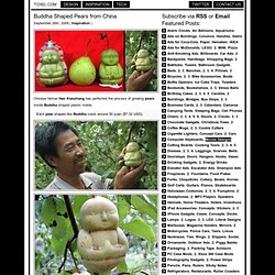Buddha Shaped Pears from China