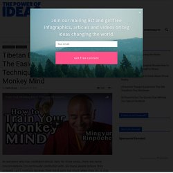 Tibetan Buddhist Master Reveals The Easiest Mindfulness Technique For Training Your Monkey Mind - The Power of Ideas