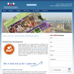 Best Websites Designer in USA