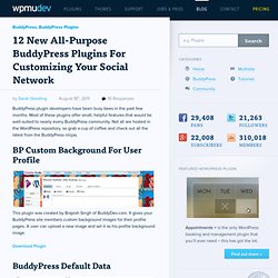 12 Top Buddypress Plugins for Customizing Your Social Network