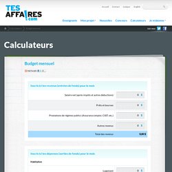 Budget mensuel - TesAffaires.com
