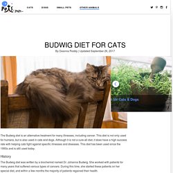 Budwig Diet for Cats