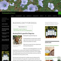 Budwig Diet for Dogs - The Budwig Diet & Protocol