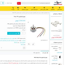 خرید موتور براشلس کوادکوپتر Bugs 2W