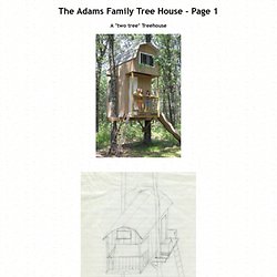 Build A Two Tree Treehouse