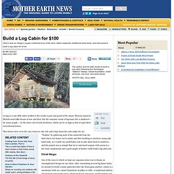 Build A Log Cabin For $100