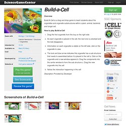 Build-a-Cell