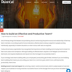 How to build an Effective and Productive Team?
