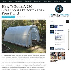 How To Build A $50 Greenhouse In Your Yard – Free Plans!