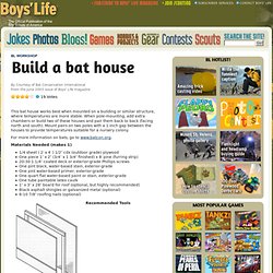 Build a bat house