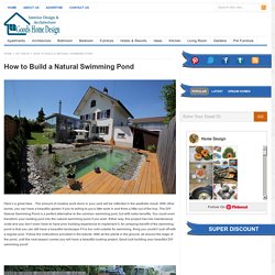 How to Build a Natural Swimming Pond