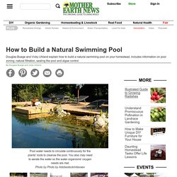 How to Build a Natural Swimming Pool