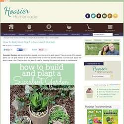 How to Build and Plant a Succulent Garden