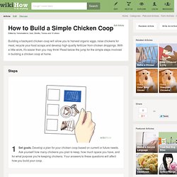 How to Build a Simple Chicken Coop: 5 Steps