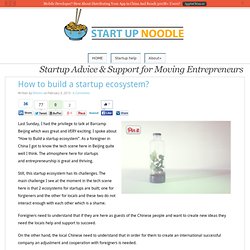 How to build a startup ecosystem?