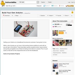 Build Your Own Arduino