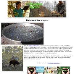 Building a bee waterer