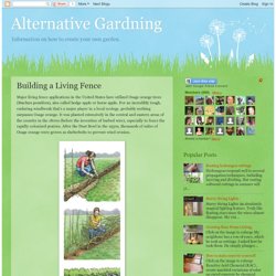 Alternative Gardning: Building a Living Fence
