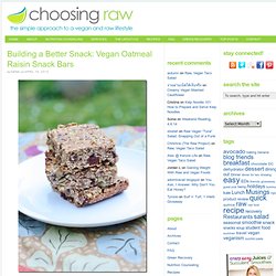Building a Better Snack: Vegan Oatmeal Raisin Snack Bars