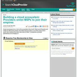Building a cloud ecosystem: Providers enlist MSPs to join their empires