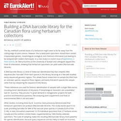 Building a DNA barcode library for the Canadian flora using herbarium collections