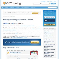 Building Multi-lingual Joomla 2.5 Sites