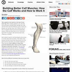 Building Better Calf Muscles: How the Calf Works and How to Work It