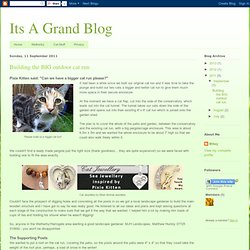 Building the BIG outdoor cat run ~ Its A Grand Blog