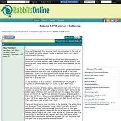 Building a rabbit warren - Rabbits Online