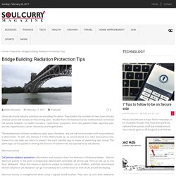 Bridge Building: Radiation Protection Tips – Soul Curry Magazine