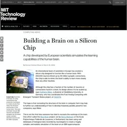 Building a Brain on a Silicon Chip