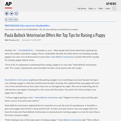 Paula Bullock Veterinarian Offers Her Top Tips for Raising a Puppy