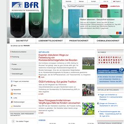 BfR - Bundesinstitut für Risikobewertung - Startseite