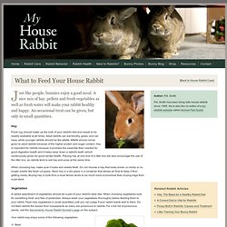 What to Feed Pet Bunnies - Proper Diet - House Rabbit Care