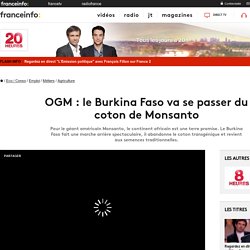 OGM : le Burkina Faso va se passer du coton de Monsanto