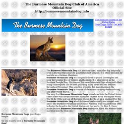 Burmese Mountain Dog Club of America