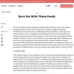 Learn about Fat Burning Foods in India at Setu in-depth