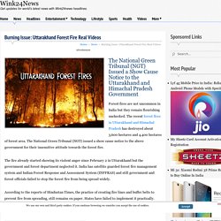 Burning Issue: Uttarakhand Forest Fire Real Videos